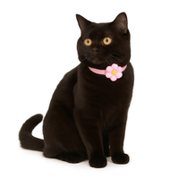 ZL Blossom Bloom Rosie Cat Collar