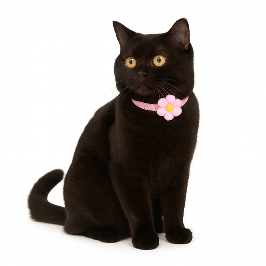 ZL Blossom Bloom Rosie Cat Collar