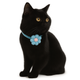 ZL Blossom Bloom Bluebell Cat Collar