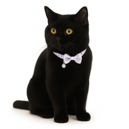 ZL Lilac Dot Bell & Bow Cat Collar