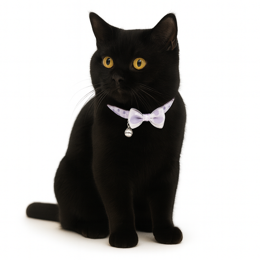 ZL Lilac Dot Bell & Bow Cat Collar