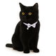 ZL Lilac Dot Bell & Bow Cat Collar
