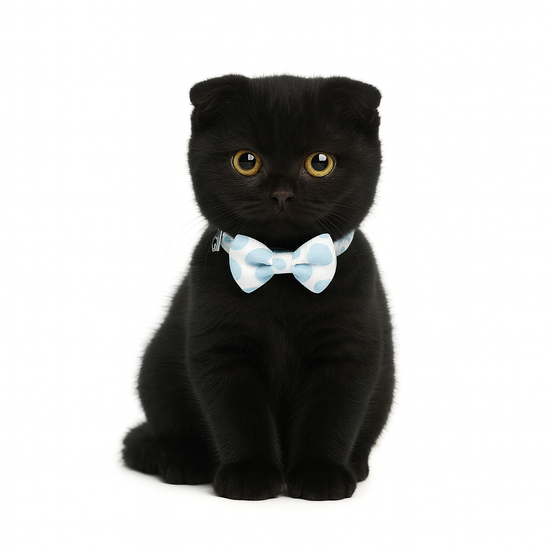 ZL Blueberry Dot Bell & Bow Cat Collar
