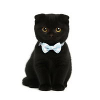 ZL Blueberry Dot Bell & Bow Cat Collar