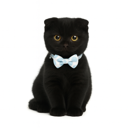 ZL Blueberry Dot Bell & Bow Cat Collar