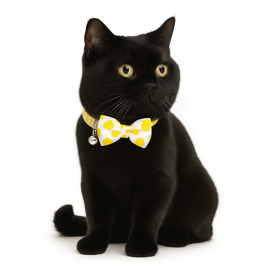 ZL Sunny Dot Bell & Bow Cat Collar