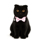 ZL Rosy Dot Bell & Bow Cat Collar