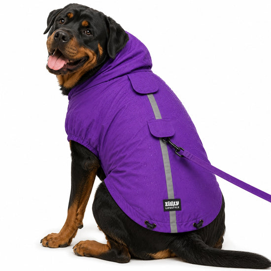 ZL Rain-Ready Dog Raincoat – Quick-Fastening Waterproof Monsoon Jacket (Purple)