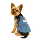 Yorkshire Terrier wearing blue denim dog dress with Zigly Lifestyle label, sitting on white background
