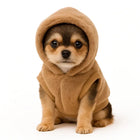 Small brown puppy in a cozy hooded vest sitting against white background, zigly style