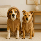 Two dogs wearing cozy brown fleece hoodies sitting indoors in a warm living room - zigly