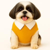 ZL Varsity Golden Ivy Dog Sweater-Yellow