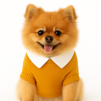 ZL Varsity Golden Ivy Dog Sweater-Yellow