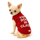 Chihuahua dog wearing red sweater with white text ‘TOP DOG IN CLASS’ and zigly tag