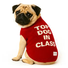 Pug wearing a red sweater with white text 'Top Dog In Class' and Zigly tag sitting on white background