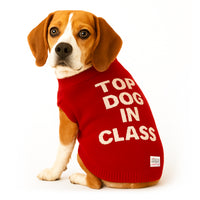 ZL Varsity Top Pup Scholar Dog Sweater-Red