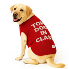 Yellow Labrador wearing red sweater with 'Top Dog in Class' text by Zigly on white