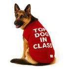 German Shepherd dog wearing red sweater with white text 'TOP DOG IN CLASS' by Zigly