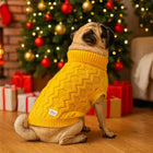 Pug dog wearing yellow zigly sweater sitting by Christmas tree with red and gold ornaments and gifts