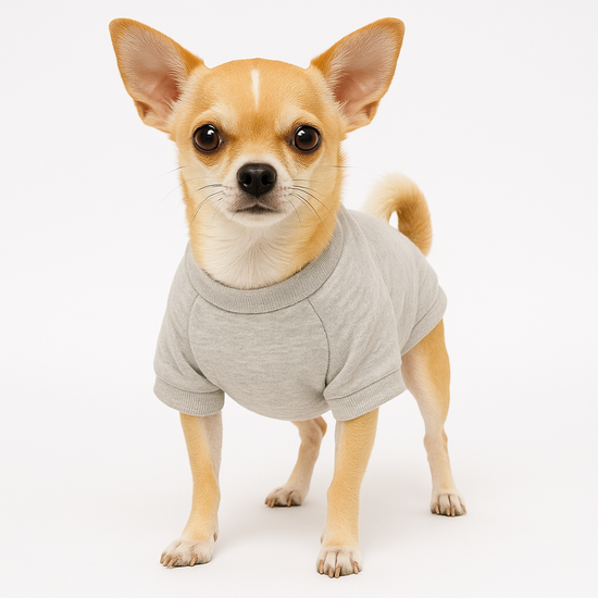 ZL Varsity Game Of Bones Sweatshirt for Dogs - Grey Melange