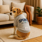 Small dog wearing gray SPORTS New York City shirt with zigly label sitting on rug in cozy living room