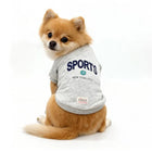Cute Pomeranian dog wearing grey sports shirt with New York City and zigly lifestyle logo