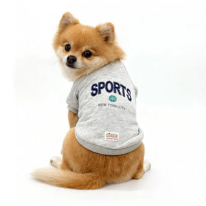Cute Pomeranian dog wearing grey sports shirt with New York City and zigly lifestyle logo