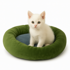 White kitten sitting inside a soft green and blue pet bed, Zigly style