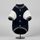 Zigly navy blue and gray varsity jacket with striped ribbed trim on display stand