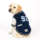 Labrador dog wearing navy blue varsity jacket with number 92 and zigly lifestyle label