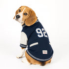 Beagle dog wearing navy blue zigly lifestyle varsity jacket with number 92 on white background