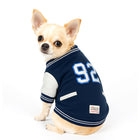 Chihuahua wearing navy blue varsity jacket with number 92 and zigly lifestyle patch