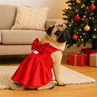 Pug dog wearing red dress with bow indoors near Christmas tree and gifts, cozy living room zigly