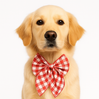 ZL Gingham Glam Ribbon Dog Bow Tie