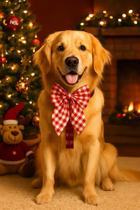 Golden retriever dog wearing red and white checkered bow tie next to decorated Christmas tree and fireplace zigly