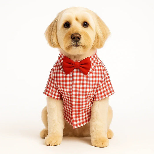 Golden retriever puppy in red checkered shirt with red bow tie sitting on white background zigly