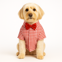 ZL Gingham Glam Dog Shirt