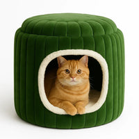 Zigly green plush cat house with cream trim and an orange tabby cat inside