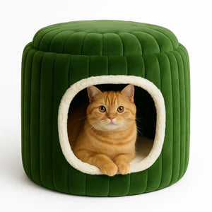 Zigly green plush cat house with cream trim and an orange tabby cat inside