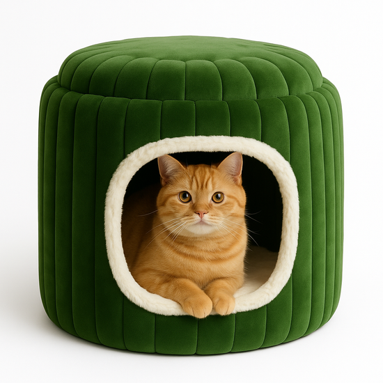 ZL Forest Cozy Cactus Cat Hut-Green