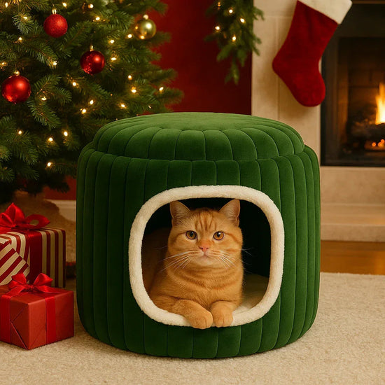zigly cozy green cat bed with ginger cat inside near Christmas tree and fireplace