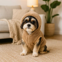 Cute small dog wearing a cozy brown hoodie sitting indoors, zigly style pet fashion