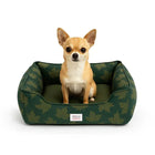 Small tan Chihuahua dog sitting in green leaf-patterned Zigly pet bed on white background