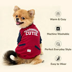 Smiling dog in red 'Classroom Cutie' jacket sitting, highlighting zigly warm cozy washable pet clothing