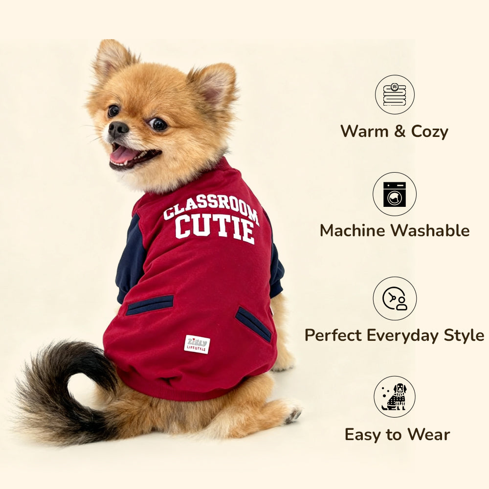 ZL Varsity Campus Cutie Jacket For Dogs - Red