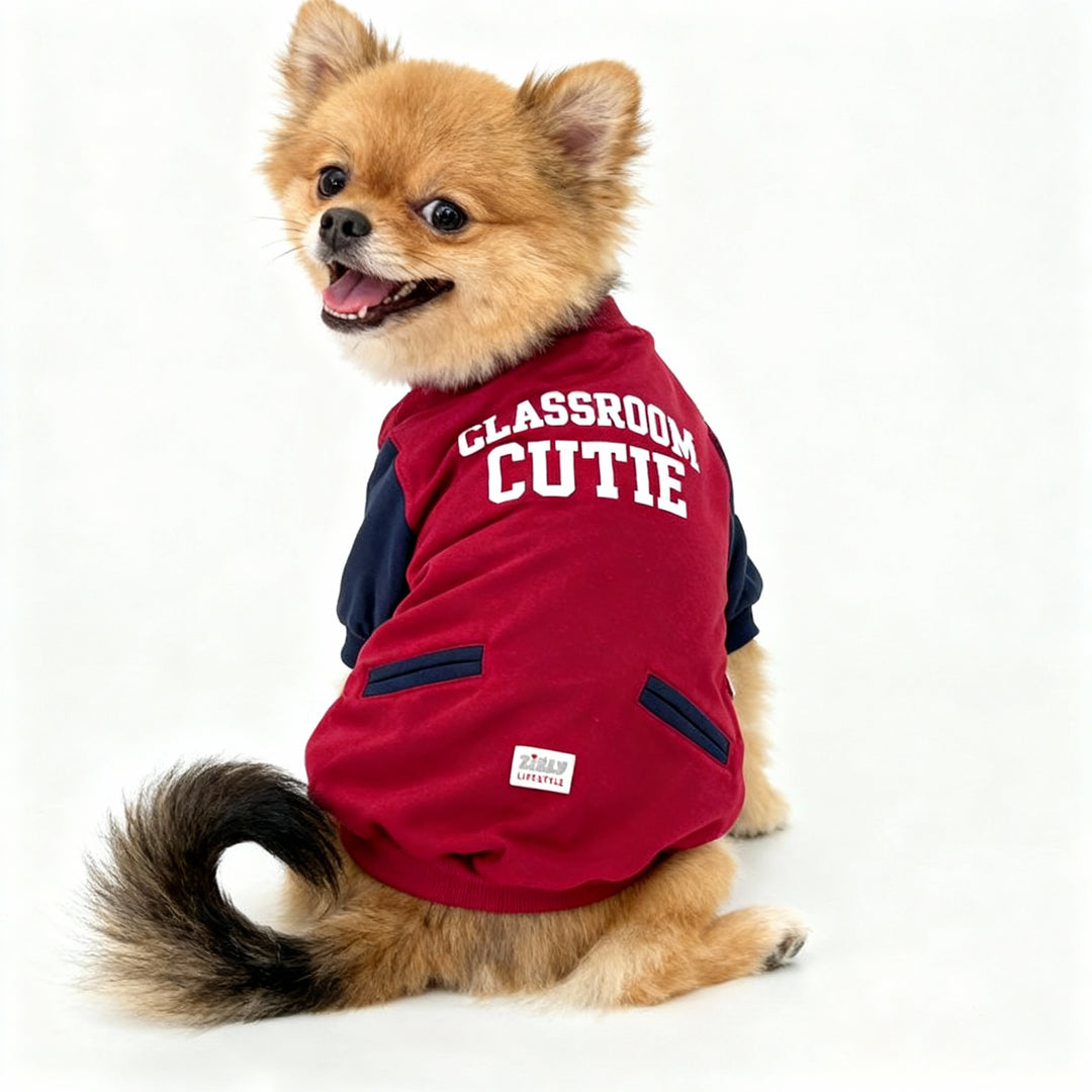ZL Varsity Campus Cutie Jacket For Dogs - Red