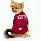 Zigly Pomeranian dog wearing red and navy 'Classroom Cutie' jacket sitting on white background