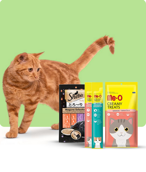 files/Cream-Treats_650X765_c0f4ef7e-9b0d-4402-b043-cf3b554deb8b.png