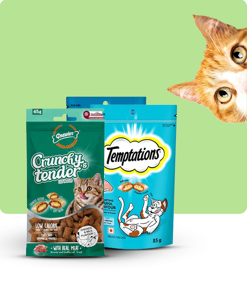 files/Crunchy-Treats_650X765_bfcb4873-0351-4856-a4a9-02263973cd05.png