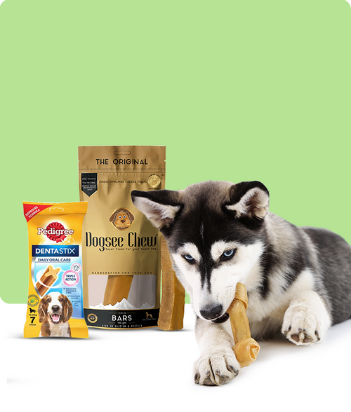 files/Dental-Treats_650X765_83f0a7e8-da9e-4088-8b4e-f93aeab12b51.png